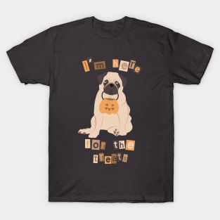 Halloween Pug - I'm here for the treats T-Shirt